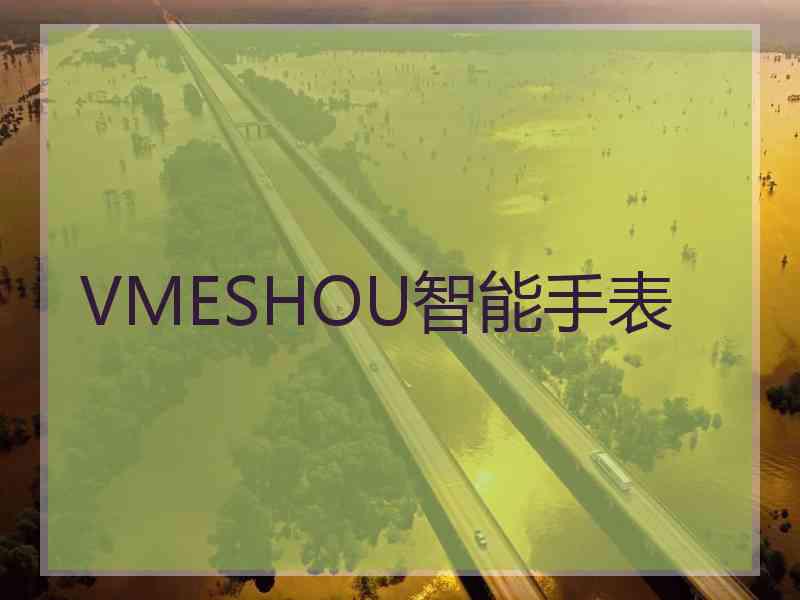 VMESHOU智能手表