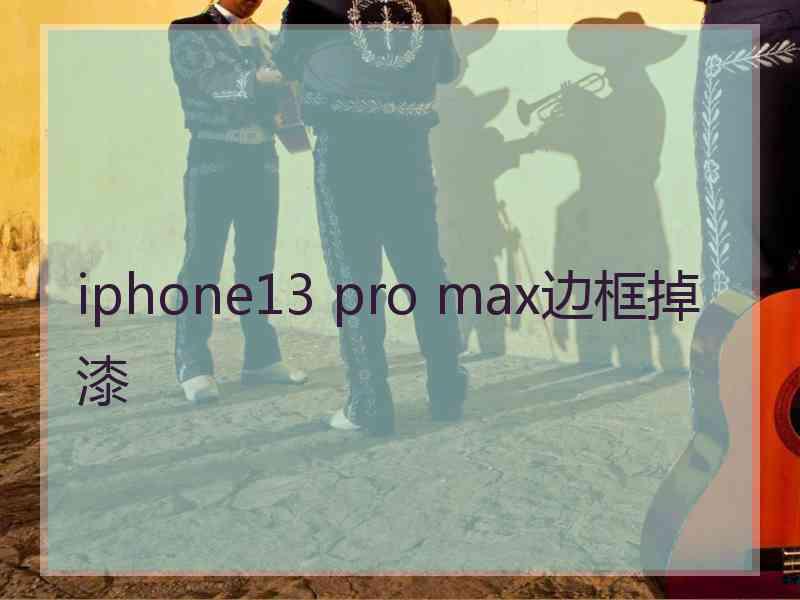 iphone13 pro max边框掉漆