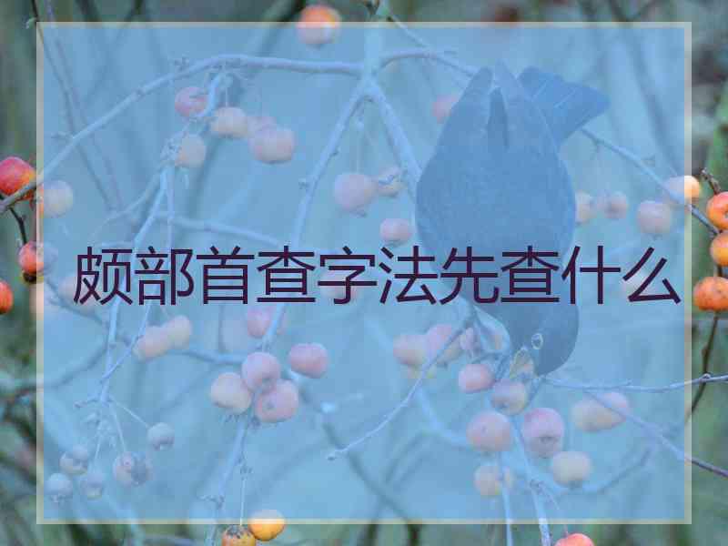 颇部首查字法先查什么