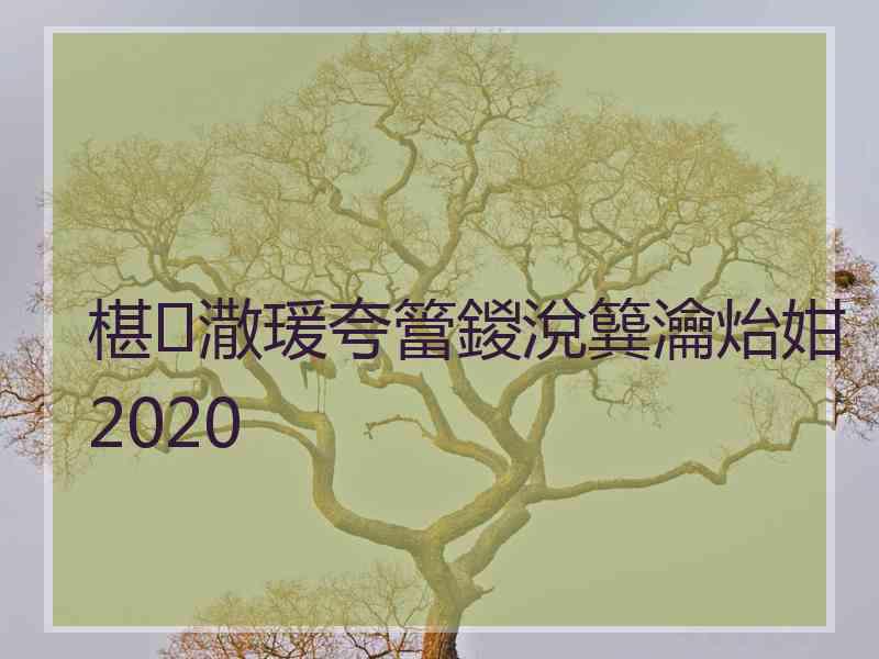 椹潵瑗夸簹鍐涗簨瀹炲姏2020