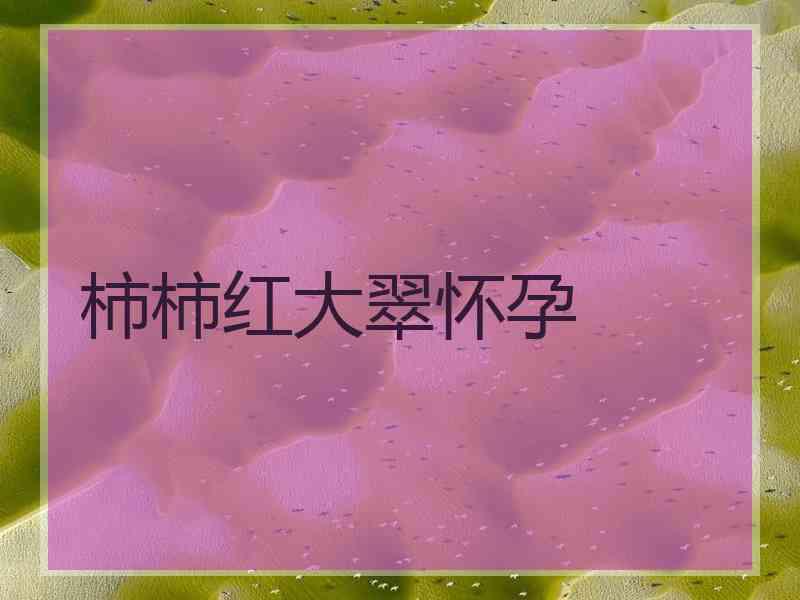 柿柿红大翠怀孕