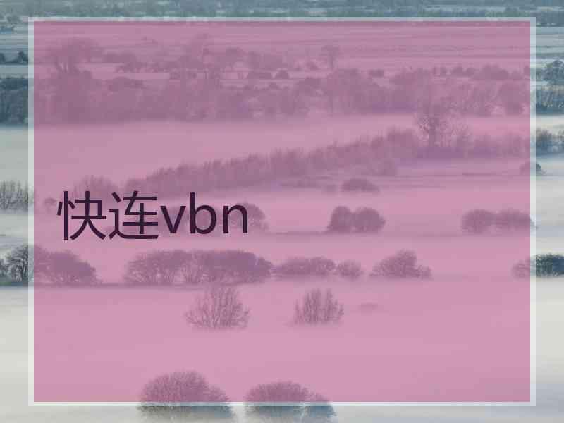 快连vbn