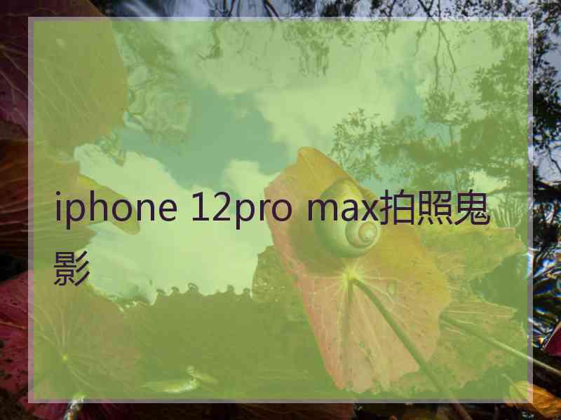 iphone 12pro max拍照鬼影