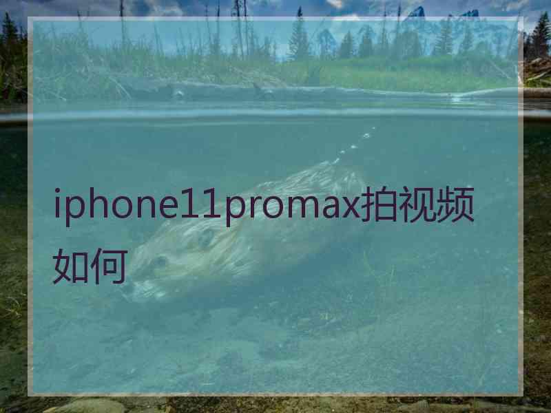 iphone11promax拍视频如何