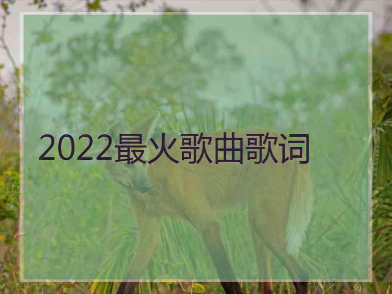 2022最火歌曲歌词