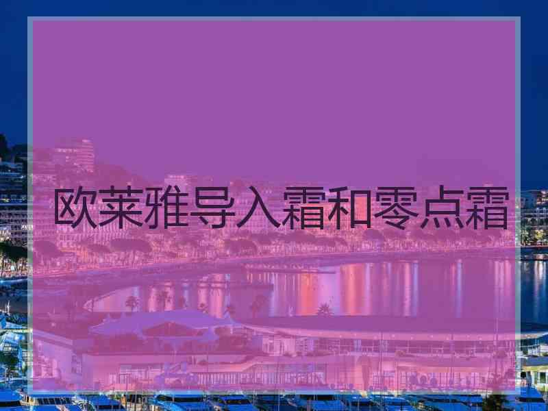 欧莱雅导入霜和零点霜