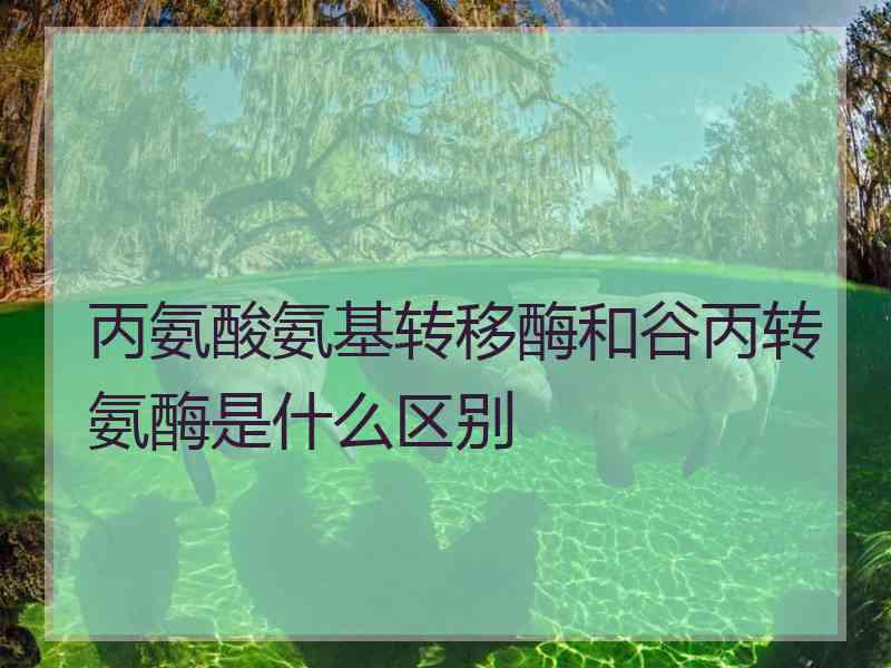 丙氨酸氨基转移酶和谷丙转氨酶是什么区别