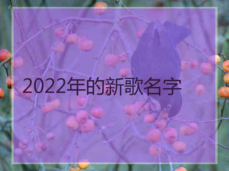 2022年的新歌名字