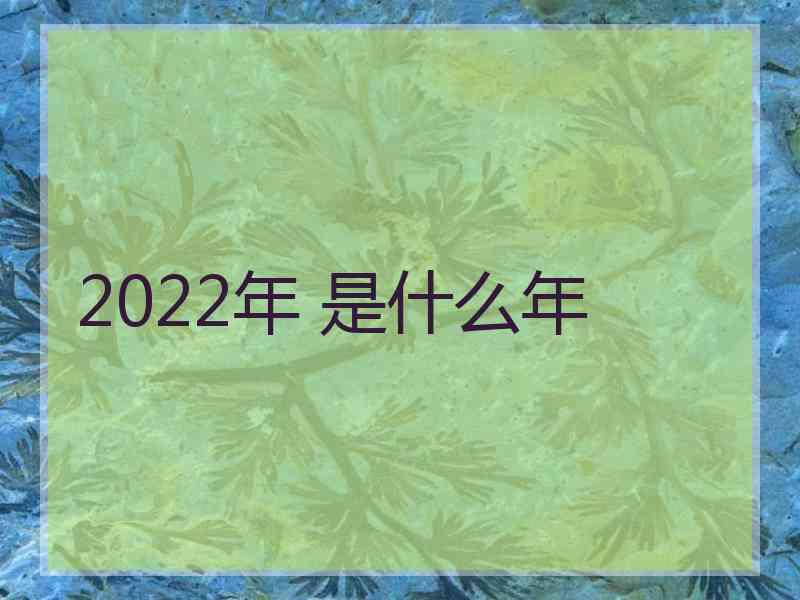 2022年 是什么年