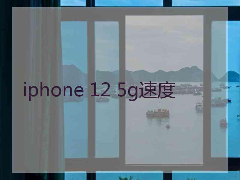 iphone 12 5g速度