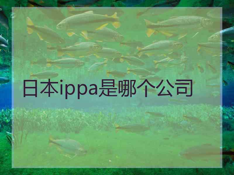 日本ippa是哪个公司