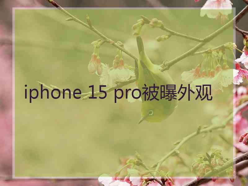 iphone 15 pro被曝外观