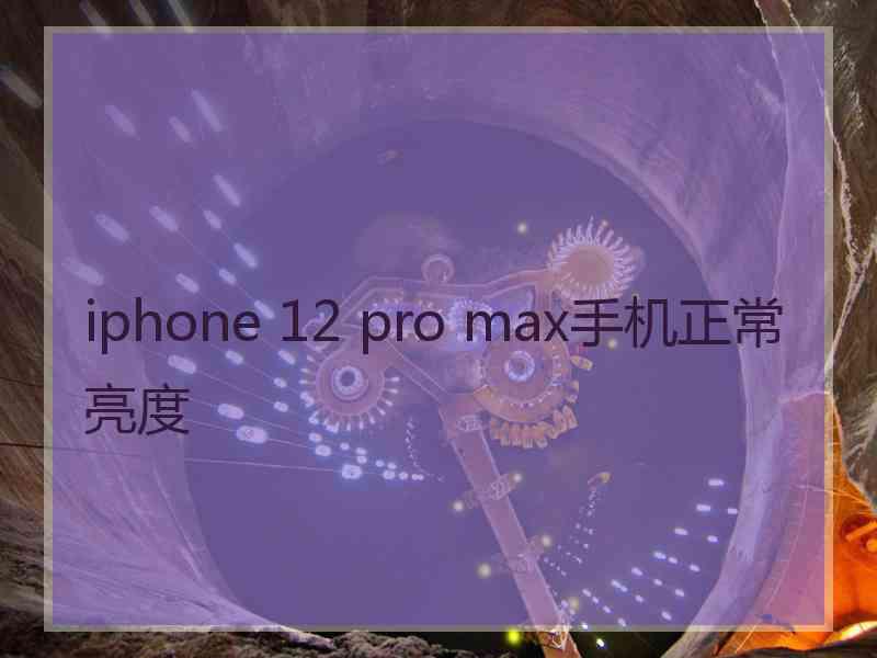 iphone 12 pro max手机正常亮度