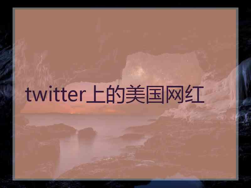 twitter上的美国网红