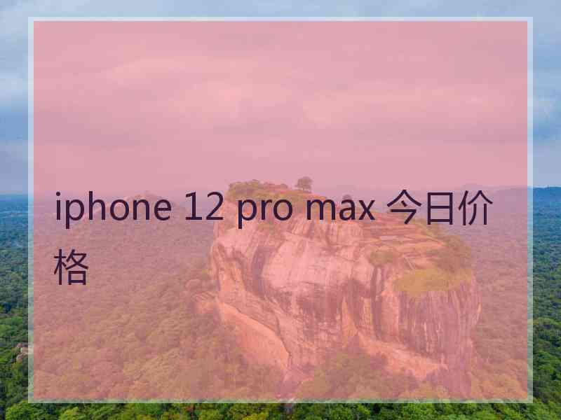 iphone 12 pro max 今日价格