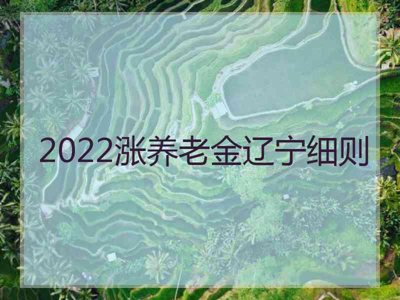 2022涨养老金辽宁细则