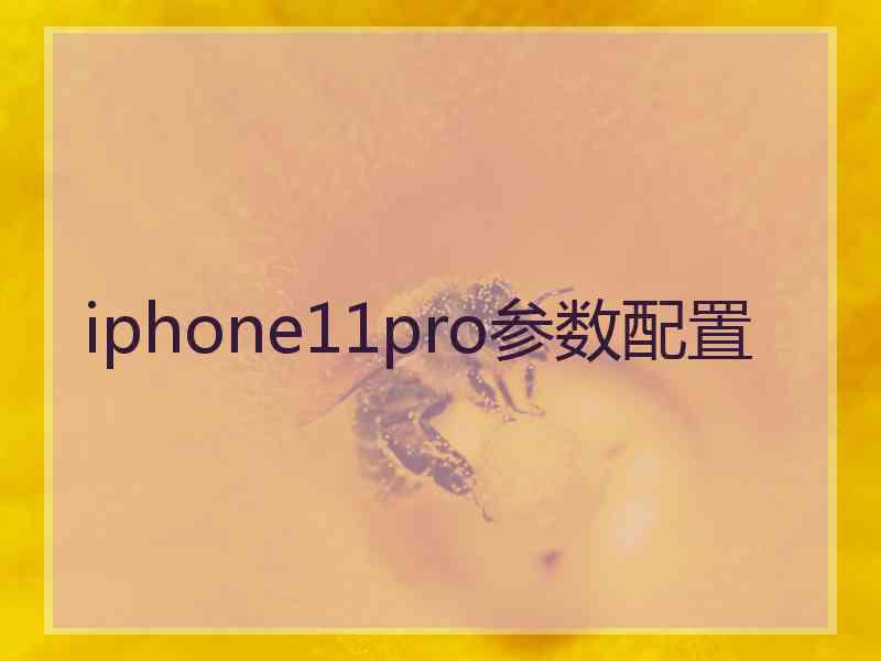 iphone11pro参数配置