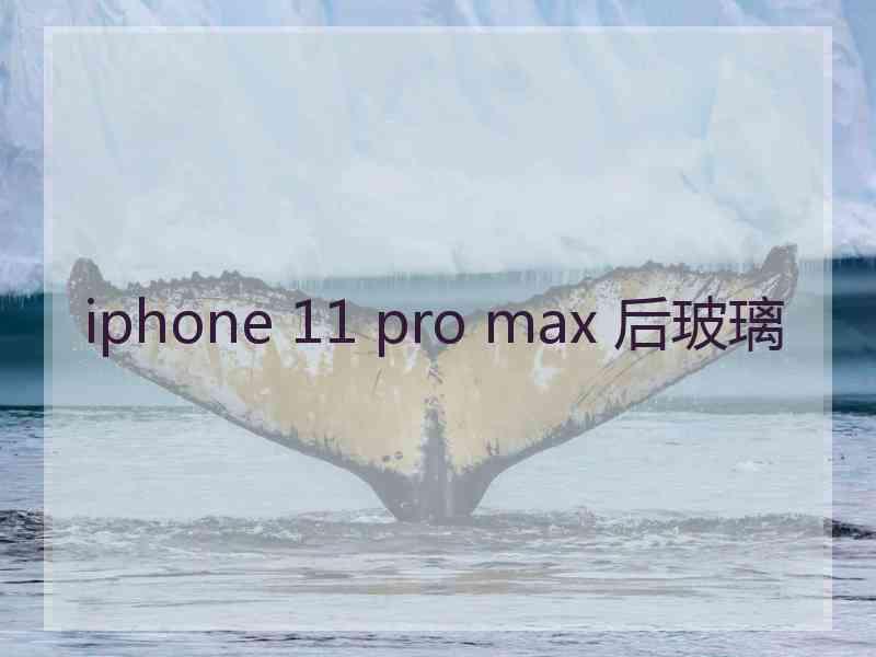 iphone 11 pro max 后玻璃