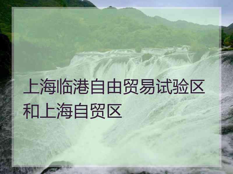 上海临港自由贸易试验区和上海自贸区