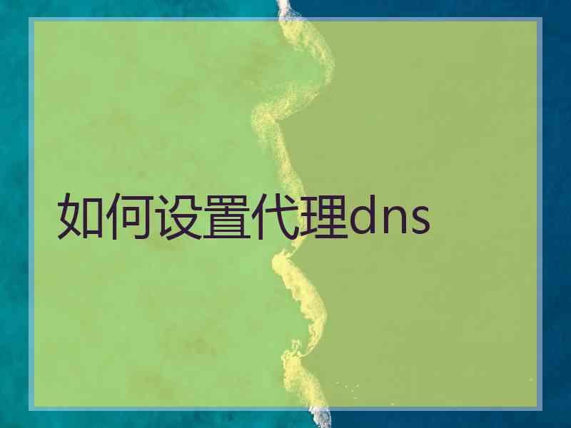 如何设置代理dns