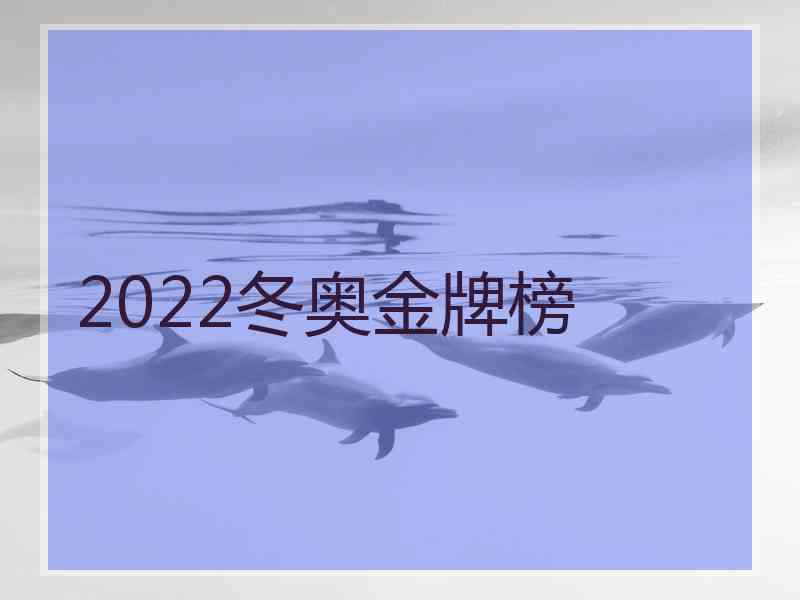 2022冬奥金牌榜