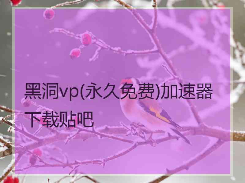 黑洞vp(永久免费)加速器下载贴吧