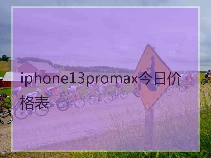 iphone13promax今日价格表