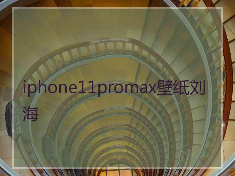 iphone11promax壁纸刘海