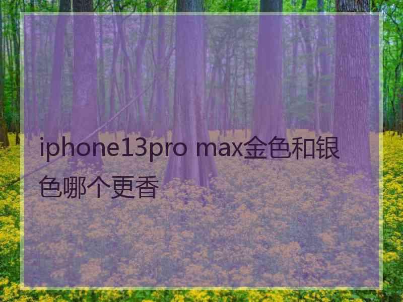 iphone13pro max金色和银色哪个更香