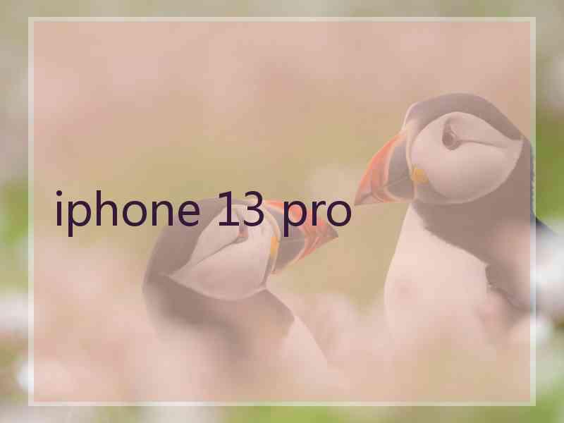 iphone 13 pro