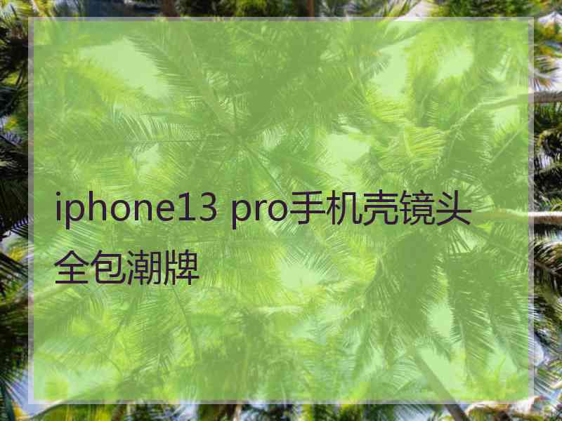 iphone13 pro手机壳镜头全包潮牌