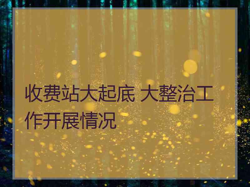 收费站大起底 大整治工作开展情况