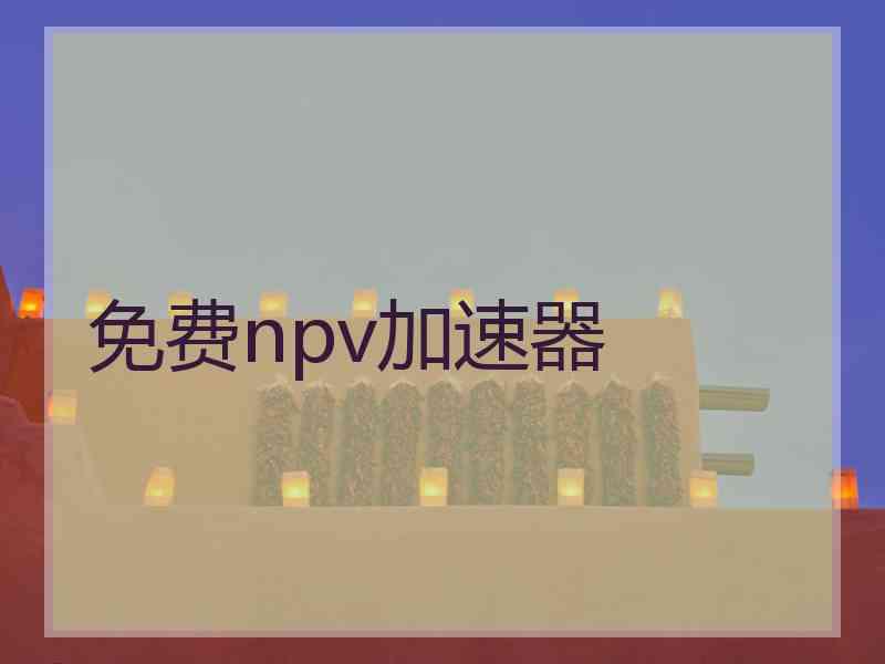 免费npv加速器