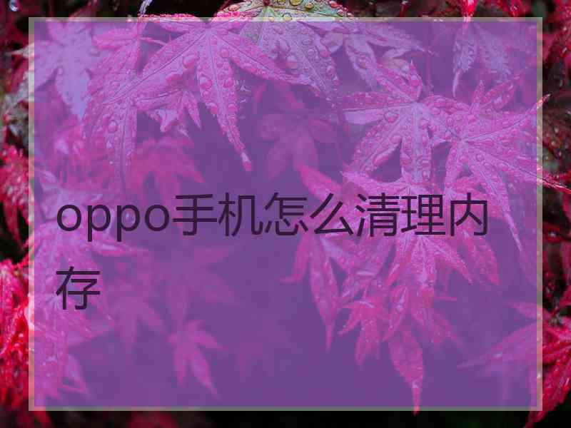 oppo手机怎么清理内存