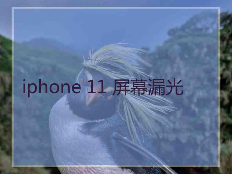 iphone 11 屏幕漏光