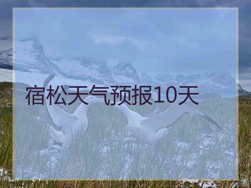 宿松天气预报10天