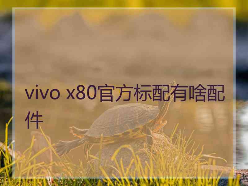 vivo x80官方标配有啥配件