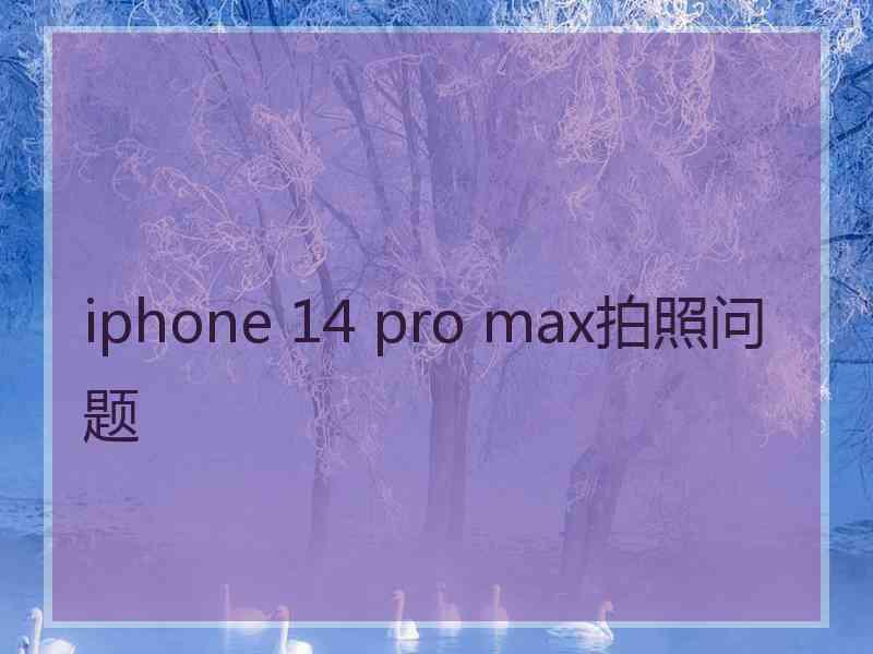 iphone 14 pro max拍照问题