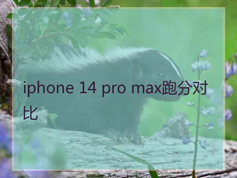 iphone 14 pro max跑分对比