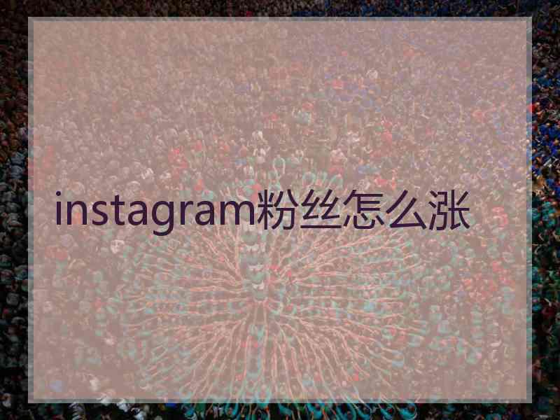 instagram粉丝怎么涨