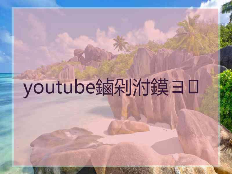 youtube鏀剁泭鏌ヨ