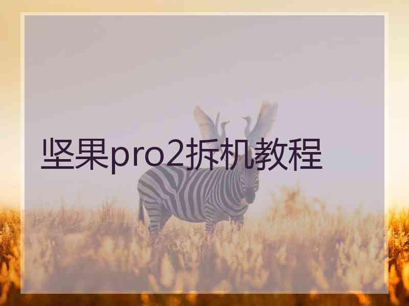 坚果pro2拆机教程