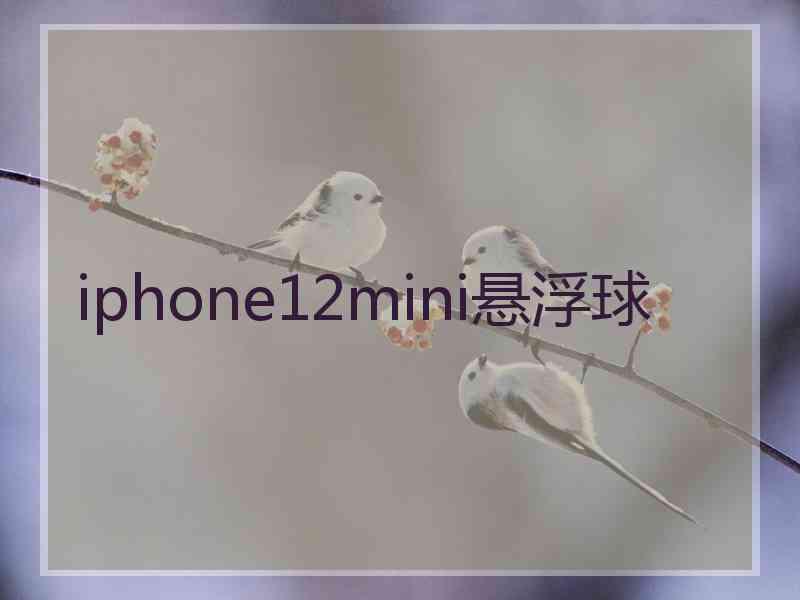 iphone12mini悬浮球