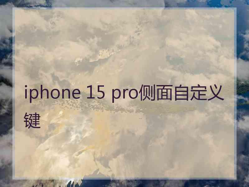 iphone 15 pro侧面自定义键