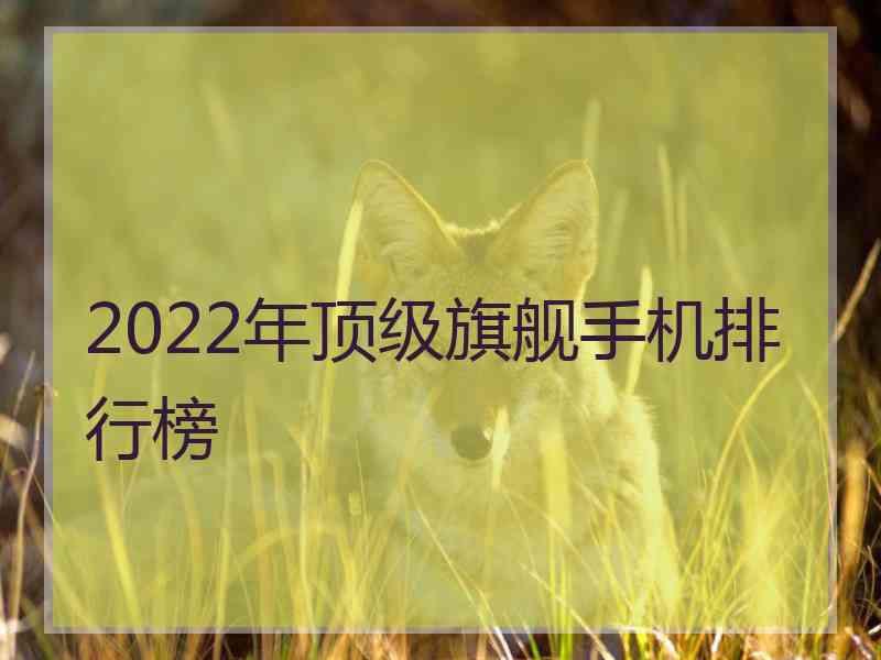 2022年顶级旗舰手机排行榜