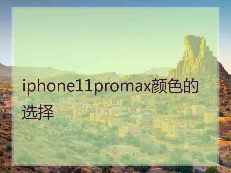 iphone11promax颜色的选择