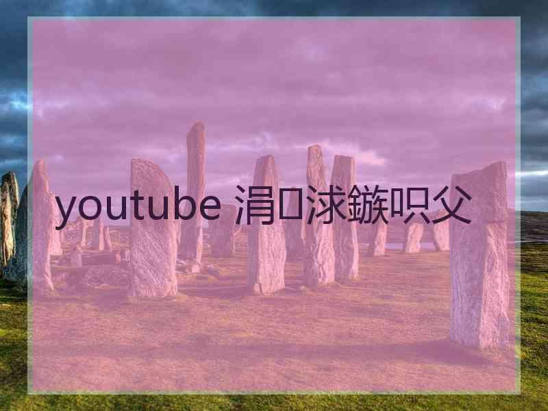 youtube 涓浗鏃呮父