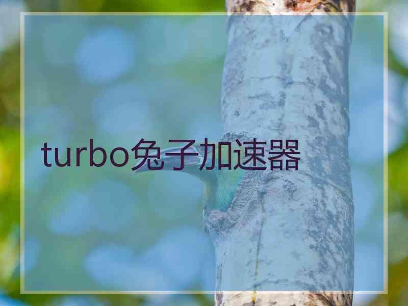 turbo兔子加速器