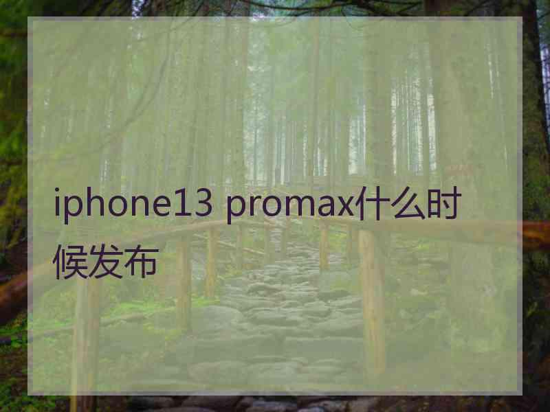 iphone13 promax什么时候发布