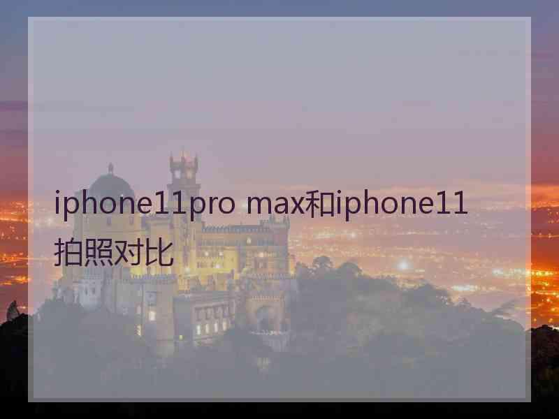 iphone11pro max和iphone11拍照对比